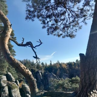 "Poslední říjnovou sobotu jsme s celou širokou rodinou strávili v Prachovských skalách, kde jsme spojili hned několik...